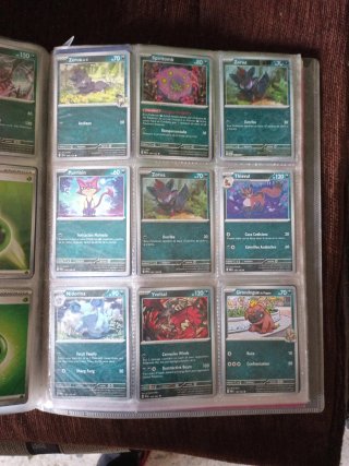 Cartas Pokémon