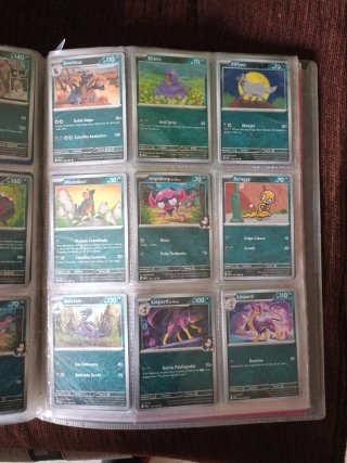Cartas Pokémon