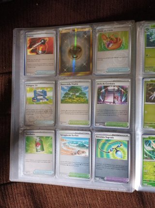 Cartas Pokémon Entrenador