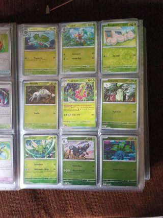 Cartas Pokémon Entrenador
