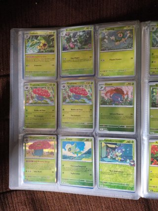 Cartas Pokémon Entrenador