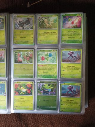 Cartas Pokémon Entrenador
