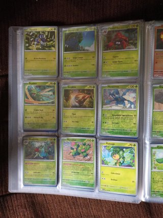 Cartas Pokémon Entrenador