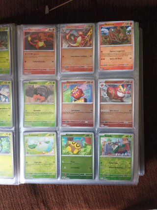 Cartas Pokémon Entrenador
