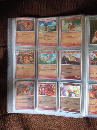 Cartas Pokémon Entrenador