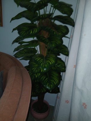 Planta Artificial Decorativa