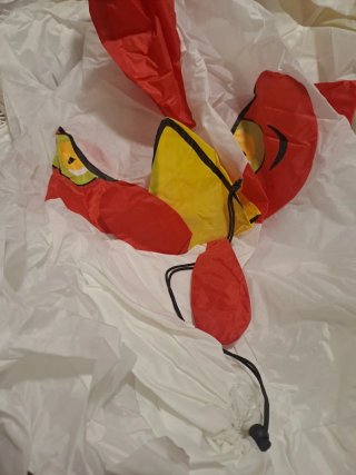 Disfraz inflable de pollo para niño