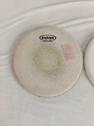 Parches Batería Evans 10 (2 unidades)