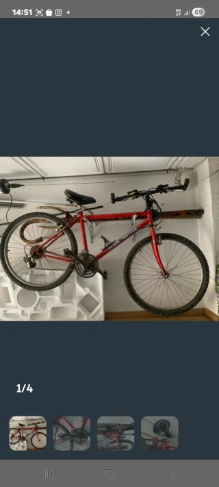 Bicicleta de Montaña Globe Trotter