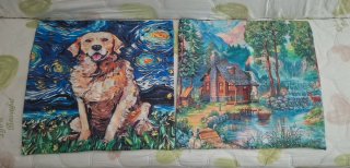 2 Fundas de cojín 50×50