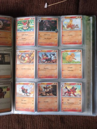 Cartas Pokémon Entrenador y Estadio