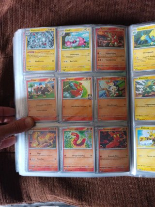 Cartas Pokémon Entrenador y Estadio
