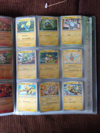 Cartas Pokémon Entrenador y Estadio