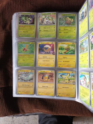 Cartas Pokémon Entrenador y Estadio