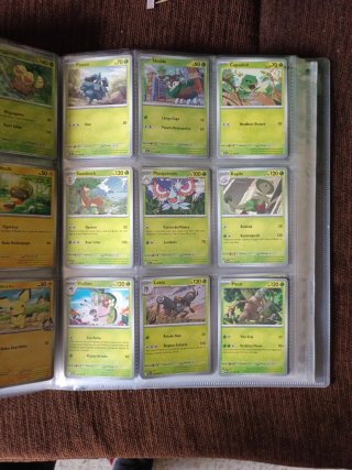 Cartas Pokémon Entrenador y Estadio