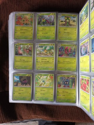 Cartas Pokémon Entrenador y Estadio