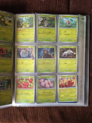 Cartas Pokémon Entrenador y Estadio