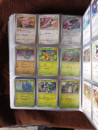 Cartas Pokémon Entrenador y Estadio