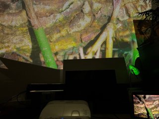 Proyector Interactivo Epson EB-595Wi