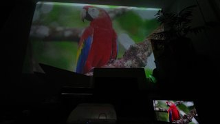 Proyector Interactivo Epson EB-595Wi