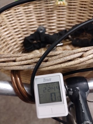 Bicicletta Bottecchia 5 rapporti