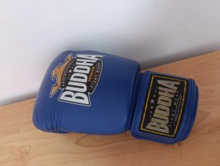 Guantes Boxeo EXCELENTE ESTADO