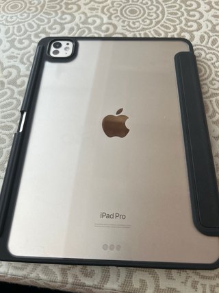 iPad Pro M4 11" Argento (2024) con custodia e Metapen