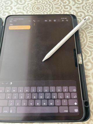 iPad Pro M4 11" Argento (2024) con custodia e Metapen