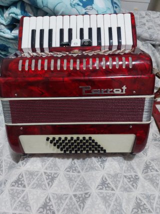 Fisarmonica 48 bassi con ,3.registri al canto,