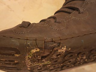 Botines Camper Lilas 37