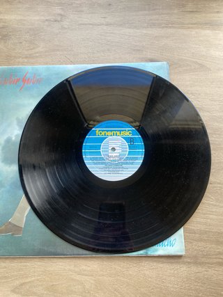 Lote Vinilos Hilario Camacho