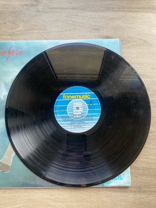 Lote Vinilos Hilario Camacho