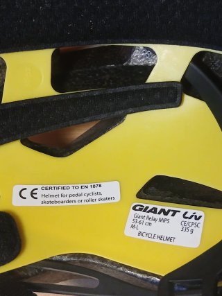 Casco Giant Relay MPS