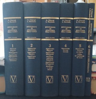 CHIARUGI, Testo atlante ANATOMIA, ed. 11 + 5OMAGGI