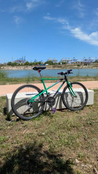 Bicicletta Bianchi Thomisus Vintage