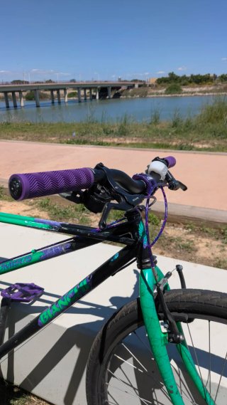 Bicicletta Bianchi Thomisus Vintage