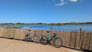 Bicicletta Bianchi Thomisus Vintage