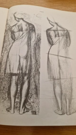 Anatomía artística del cuerpo humano