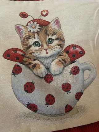 Fodera cuscino arredo gattino e coccinelle