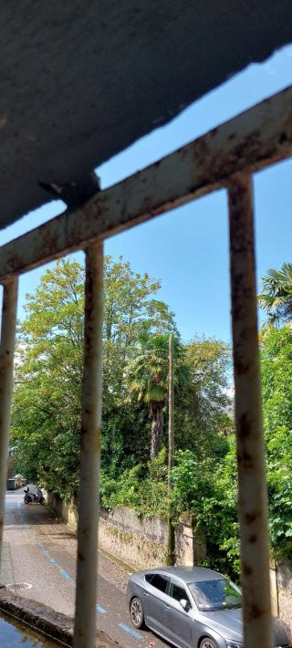 Reja de hierro para ventana