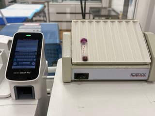 Analizador Hematología IDEXX ProCyte One