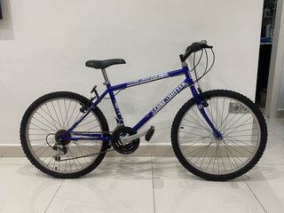 Bicicleta Globe Trotter Azul
