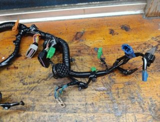 Fueraborda arnés eléctrico