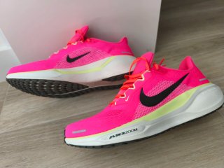 Nike Pegasus talla 44