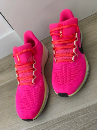 Nike Pegasus talla 44