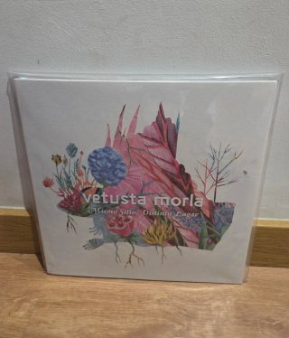 Vinilo Vetusta Morla (Mismo Sitio, Distinto Lugar)