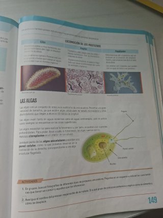 Biología y Geología I, ESO, Secundaria, De otra...