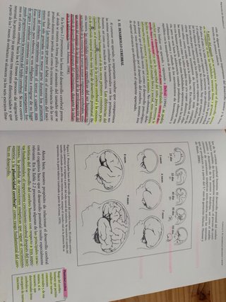 Libro de texto Psicología del Desarrollo I