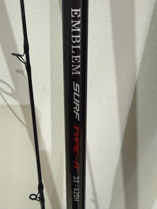 Coppia di Canne da Pesca Daiwa Emblem Surf Type-R