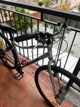 Bicicleta Riverside 120